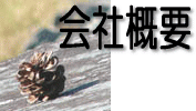 ��ЊT�v